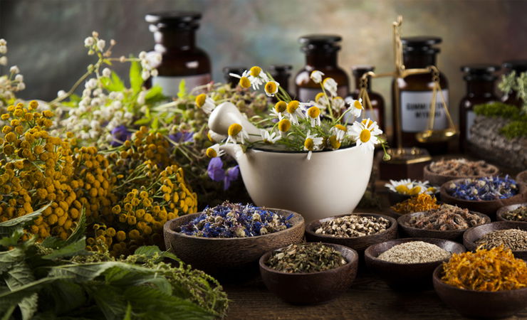 Harnessing Ancient Wisdom for a Healthier Gut and Thriving Body