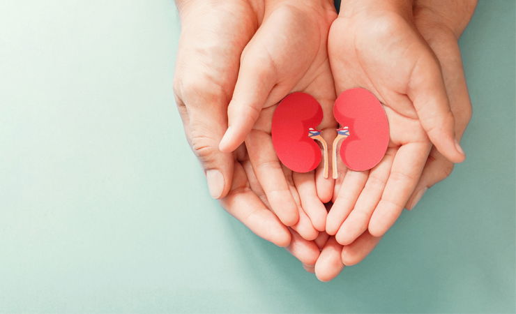 Nourish Your Kidneys: A Whole-Body Nutrition Workshop