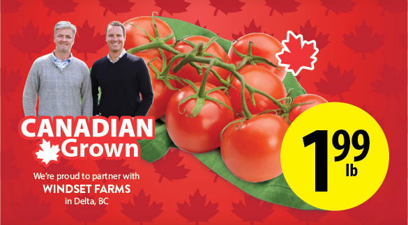 Tomatoes on Vine Deal