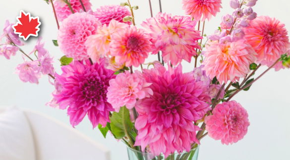 Canadian Floral