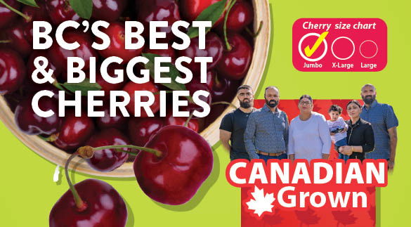 Summer BC Cherry
