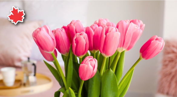 Tulip Festival Is Back