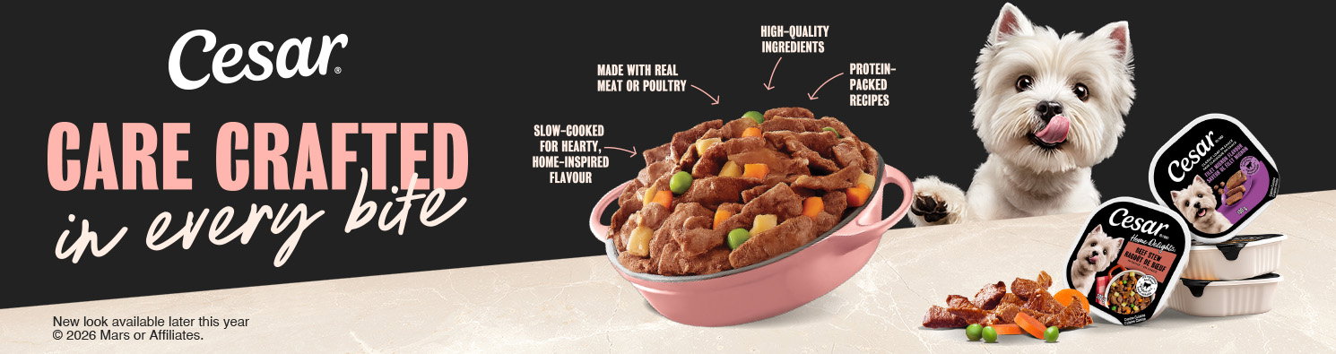 Cesar Dog Food